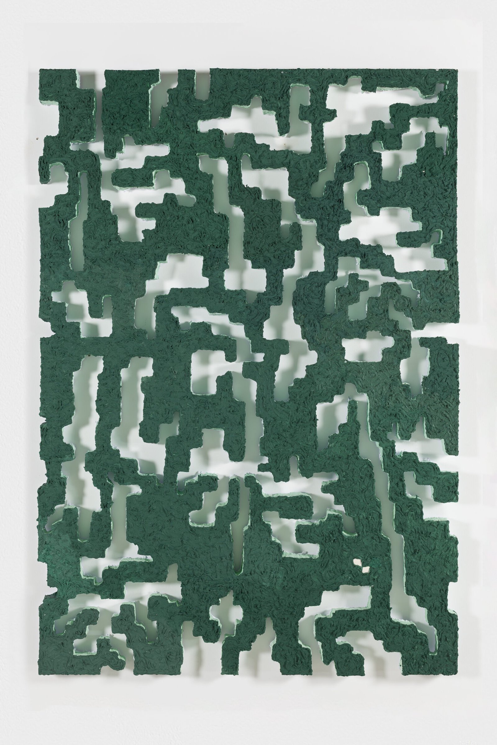 Lo que vi de una flor