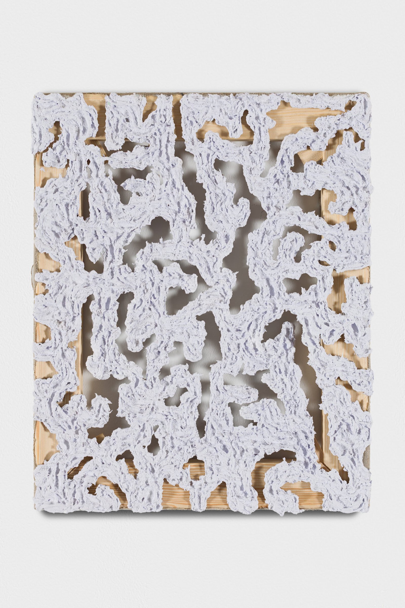 Chicharra perdida II