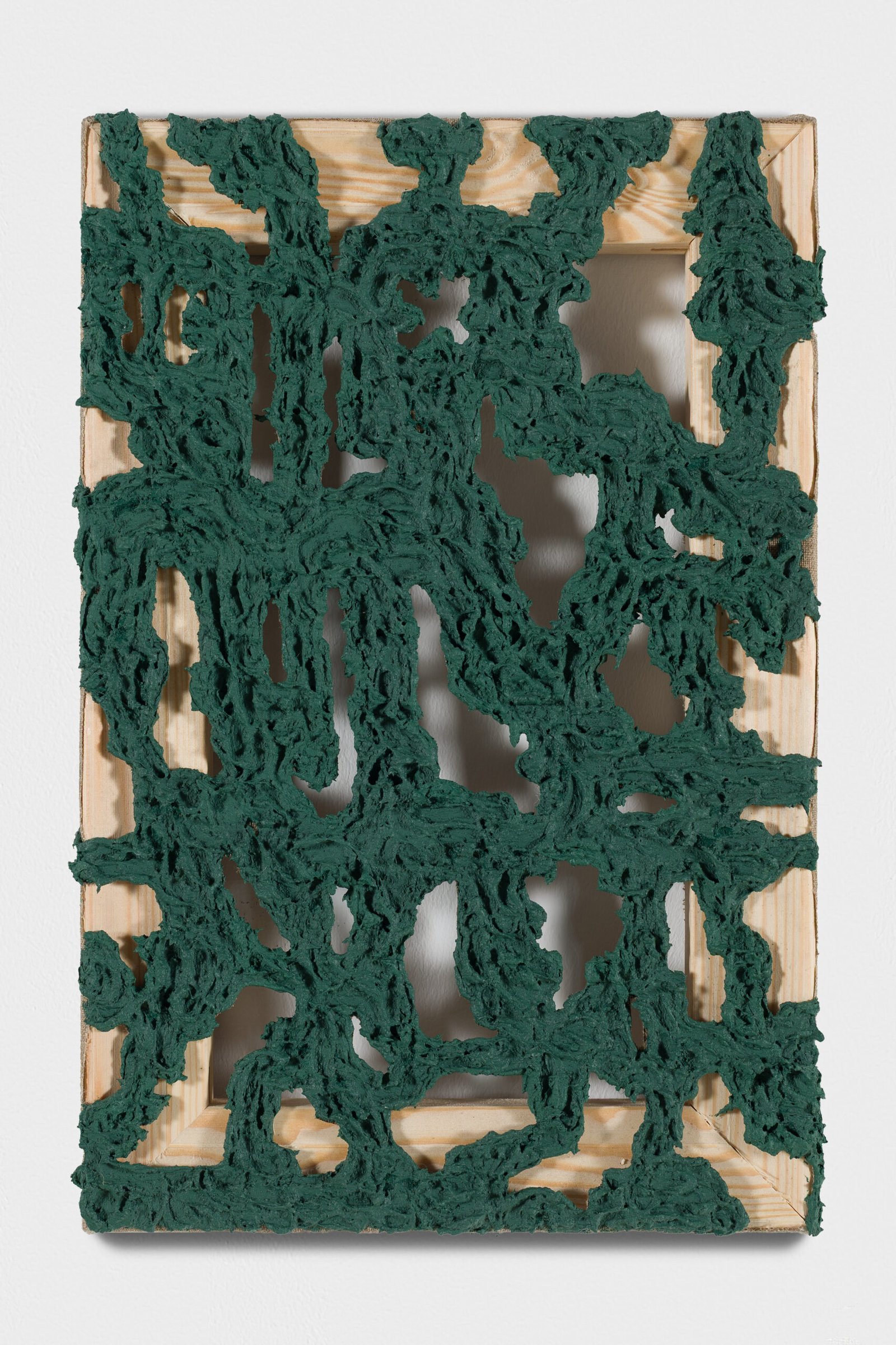 Chicharra perdida III