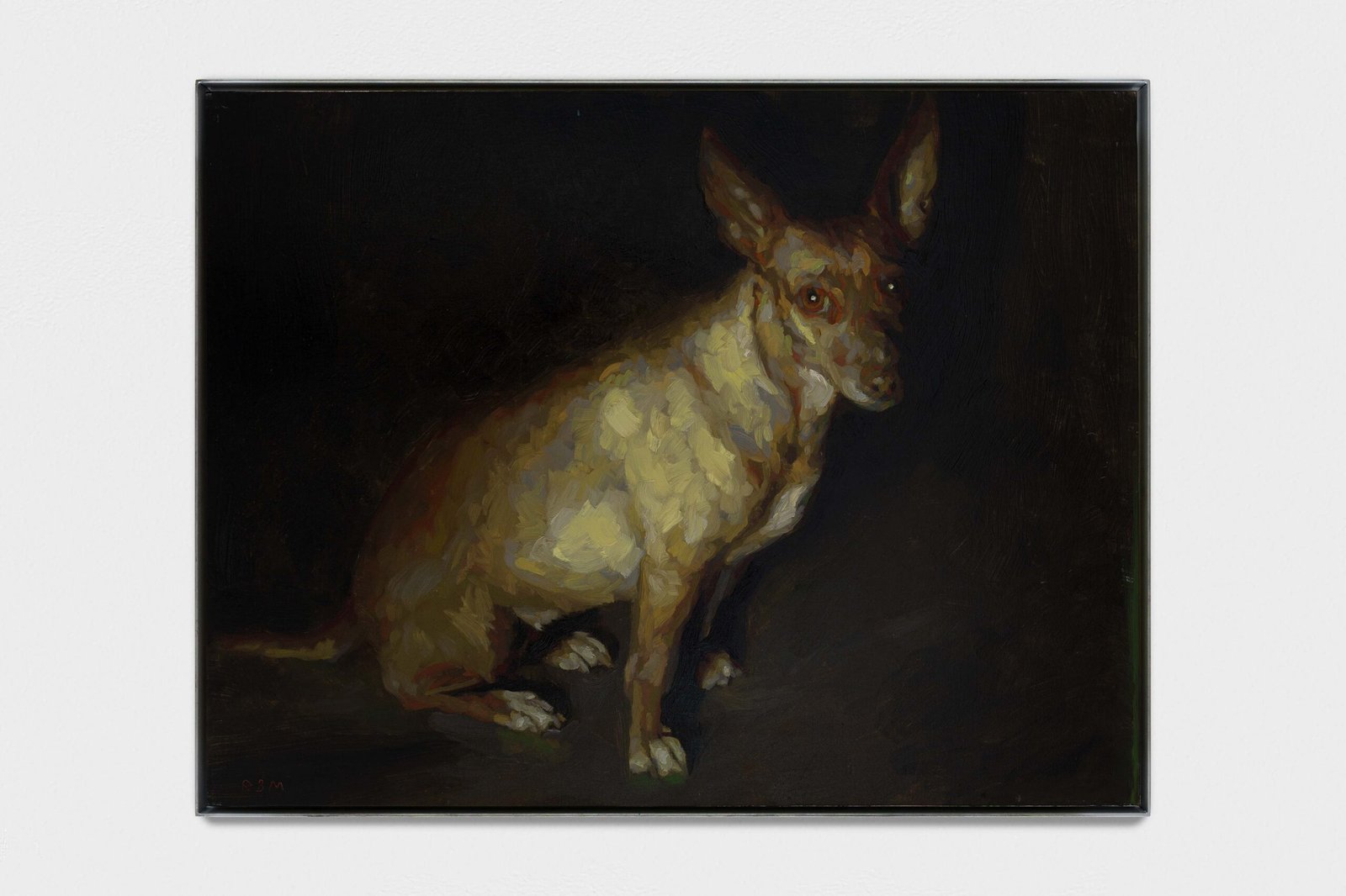 Perro, Ocre. (Keeping Alive)