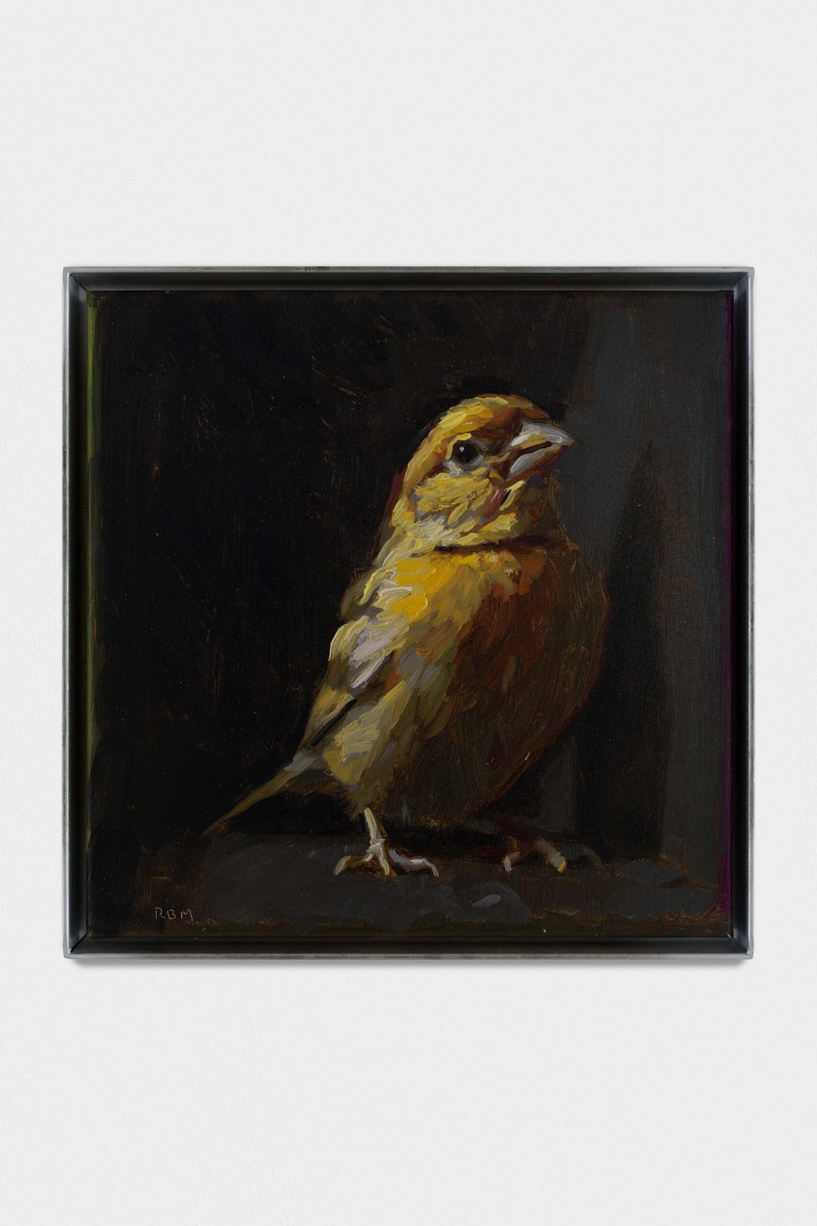 Canario sobre una repisa