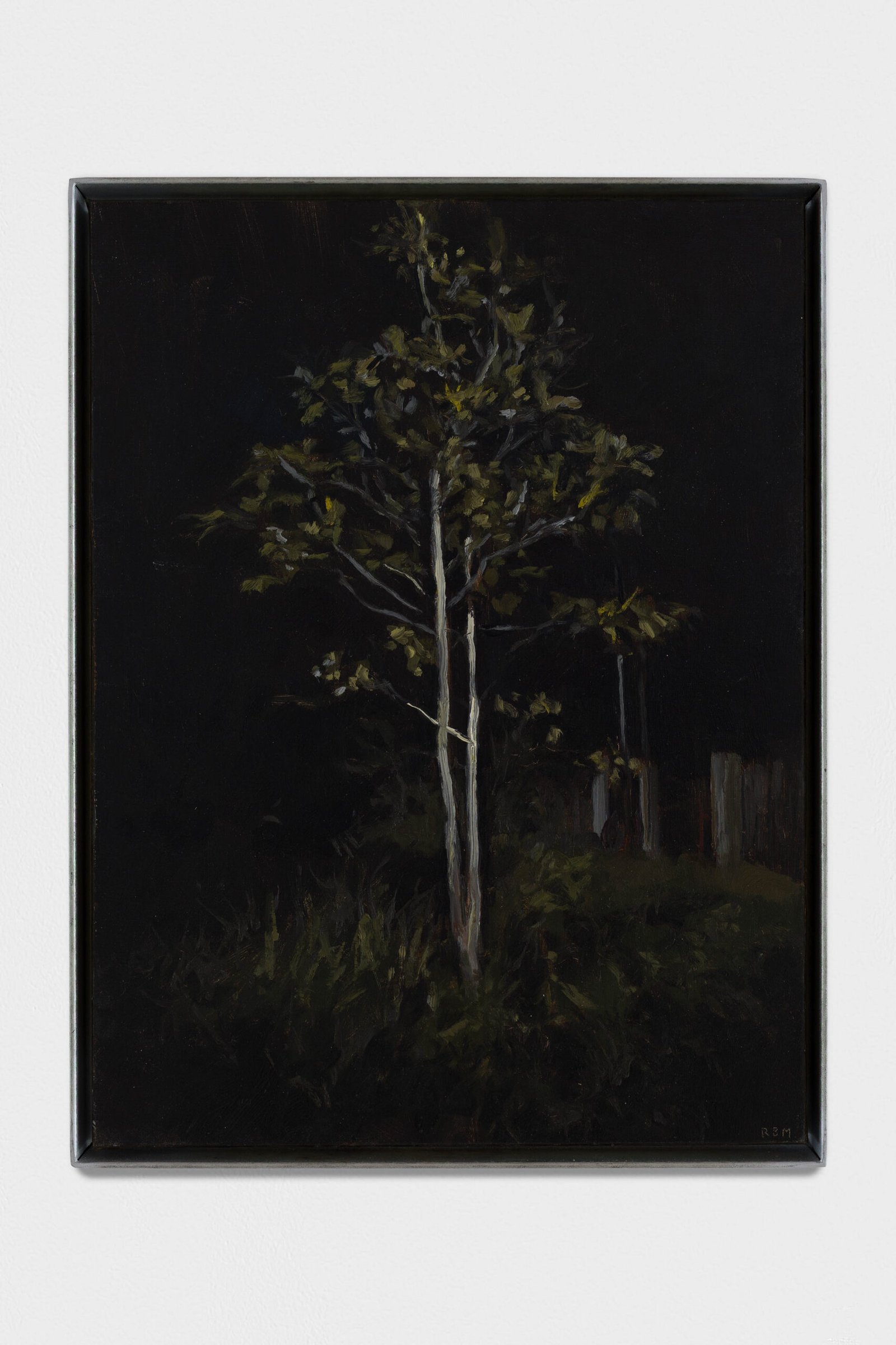 Noche, árboles, cercado (Shadowed grove)