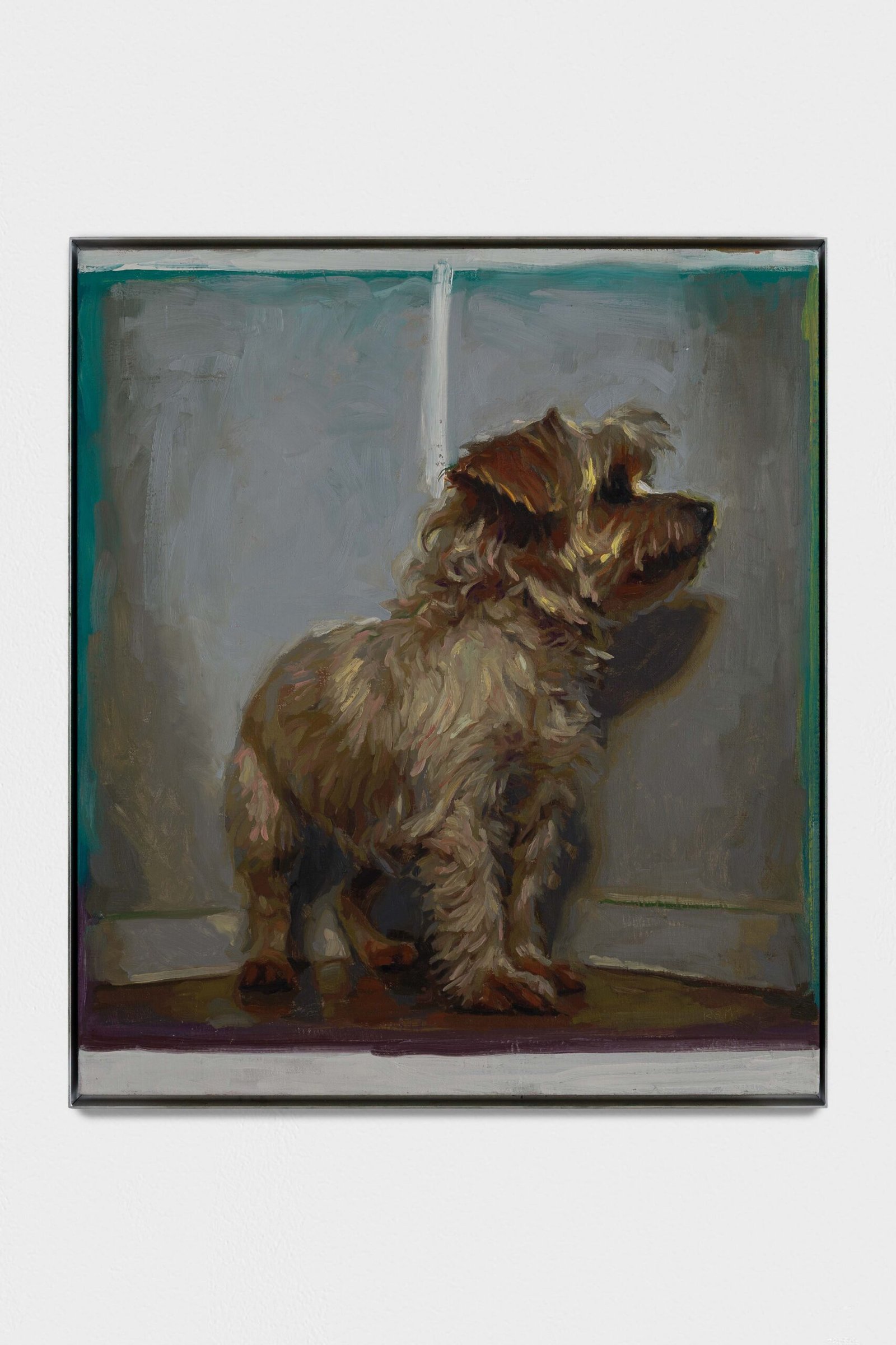 Perrillo de pelo largo en un rincón