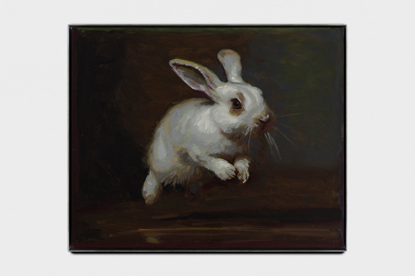 Conejo blanco saltando