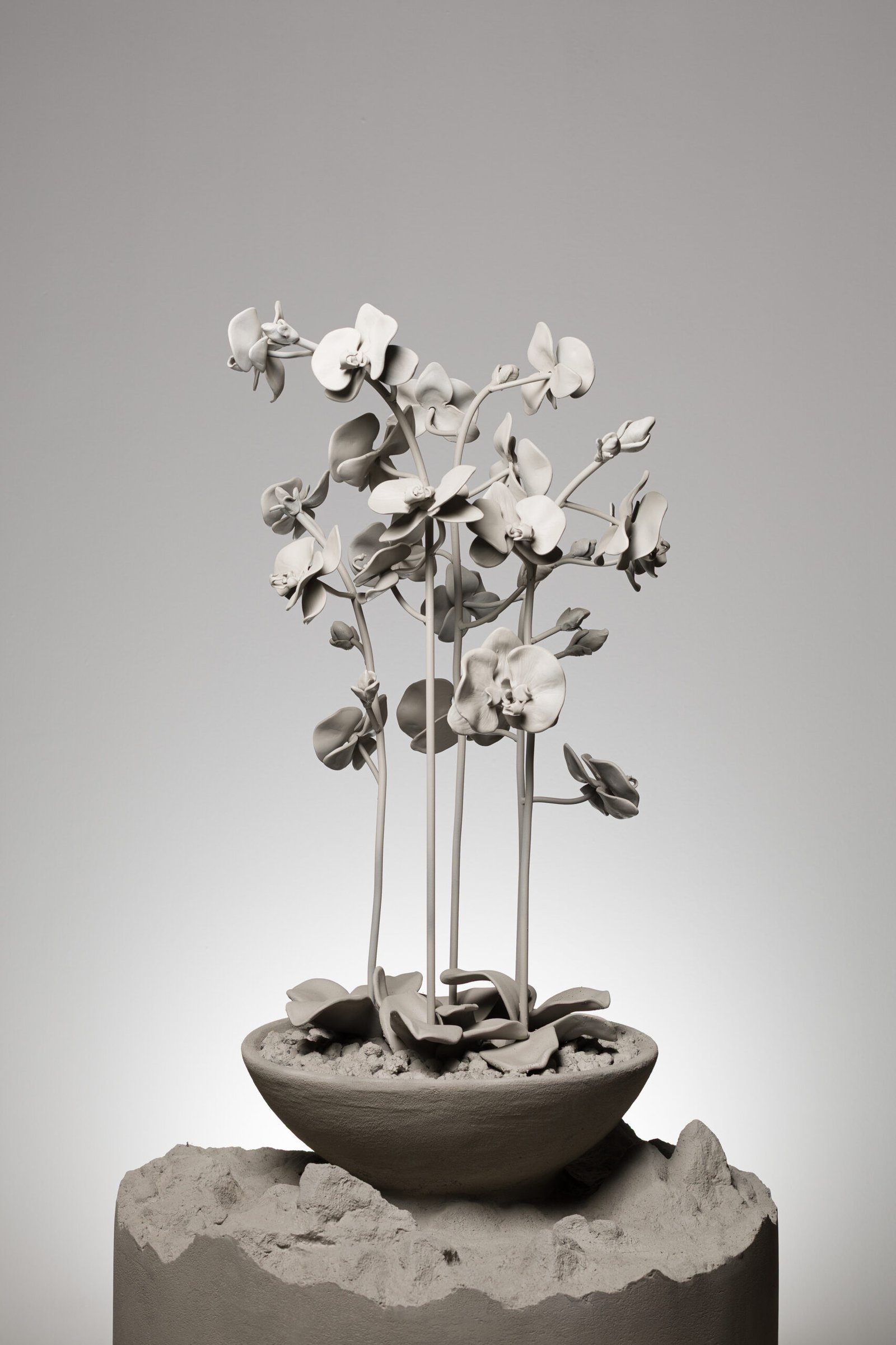 Core of Time Orchid III